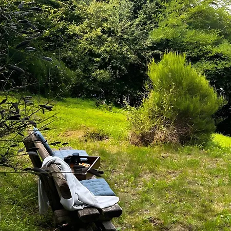 Vakantiehuis Talblick Sellinghausen *